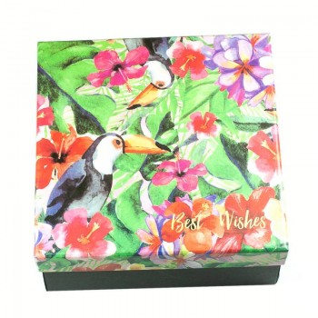 Caja cuadrada Best Wishes Tucán