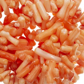 Coral tira de 40 cm 2