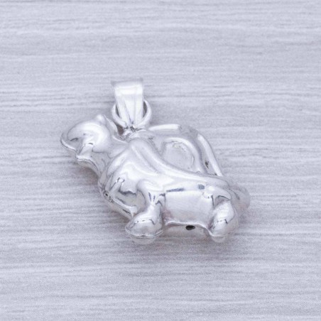 Colgante tortuga Plata de Ley