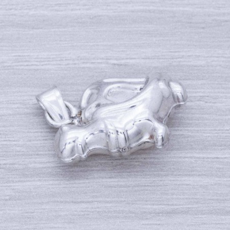 Colgante tortuga Plata de Ley