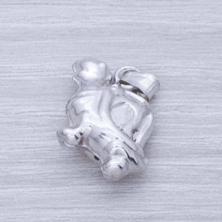 Colgante tortuga Plata de Ley