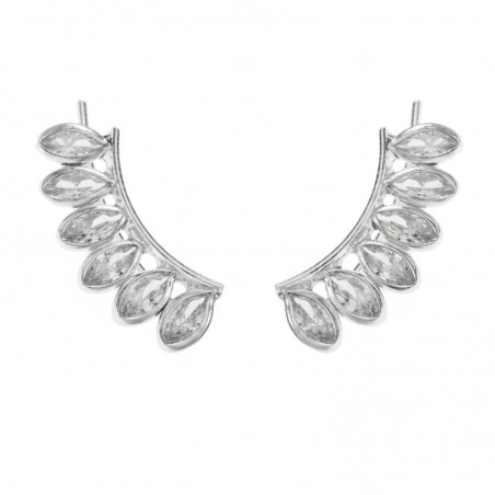 Trepadores hojas ovales Plata de Ley - Karissma