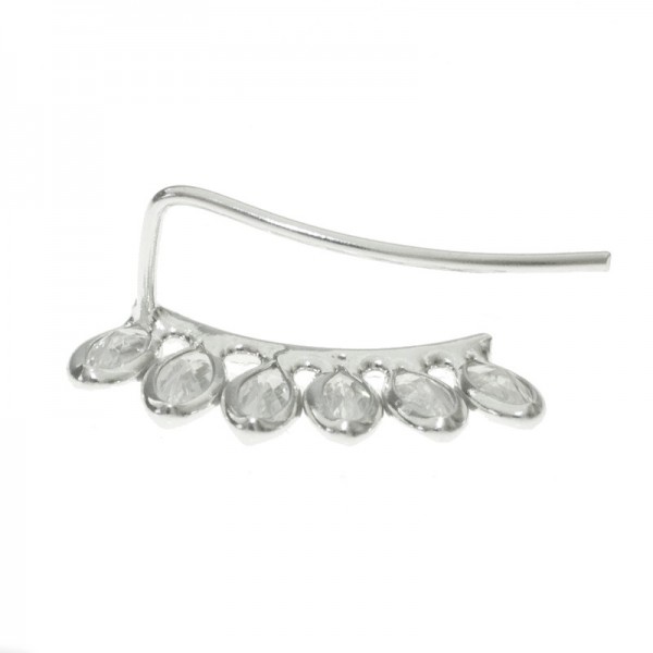 Trepadores hojas ovales Plata de Ley - Karissma