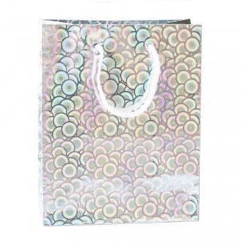 Pack 12 bolsas de regalo brillantes 2