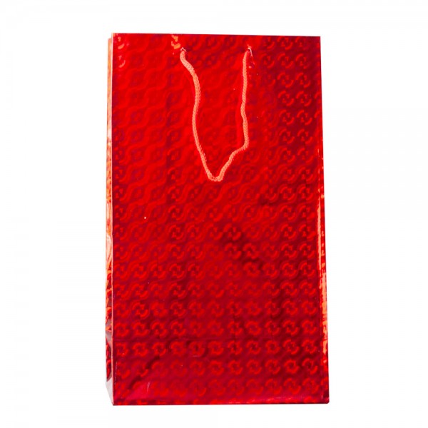 Pack 12 bolsas de regalo brillantes extralargas