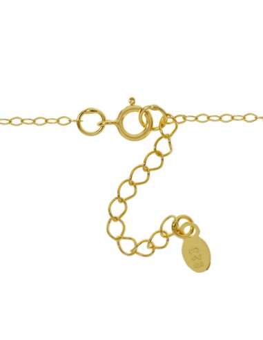 Collar símbolos 7 Chakras Plata de Ley bañada en Oro