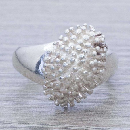 Anillo erizo oval Plata de Ley 925